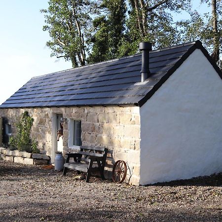 Villa Cosy Couples Retreat At The Coop With Hot Tub Kilkeel Exterior foto